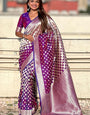 Devastating Purple Soft Silk Saree With Lustrous Blouse Piece