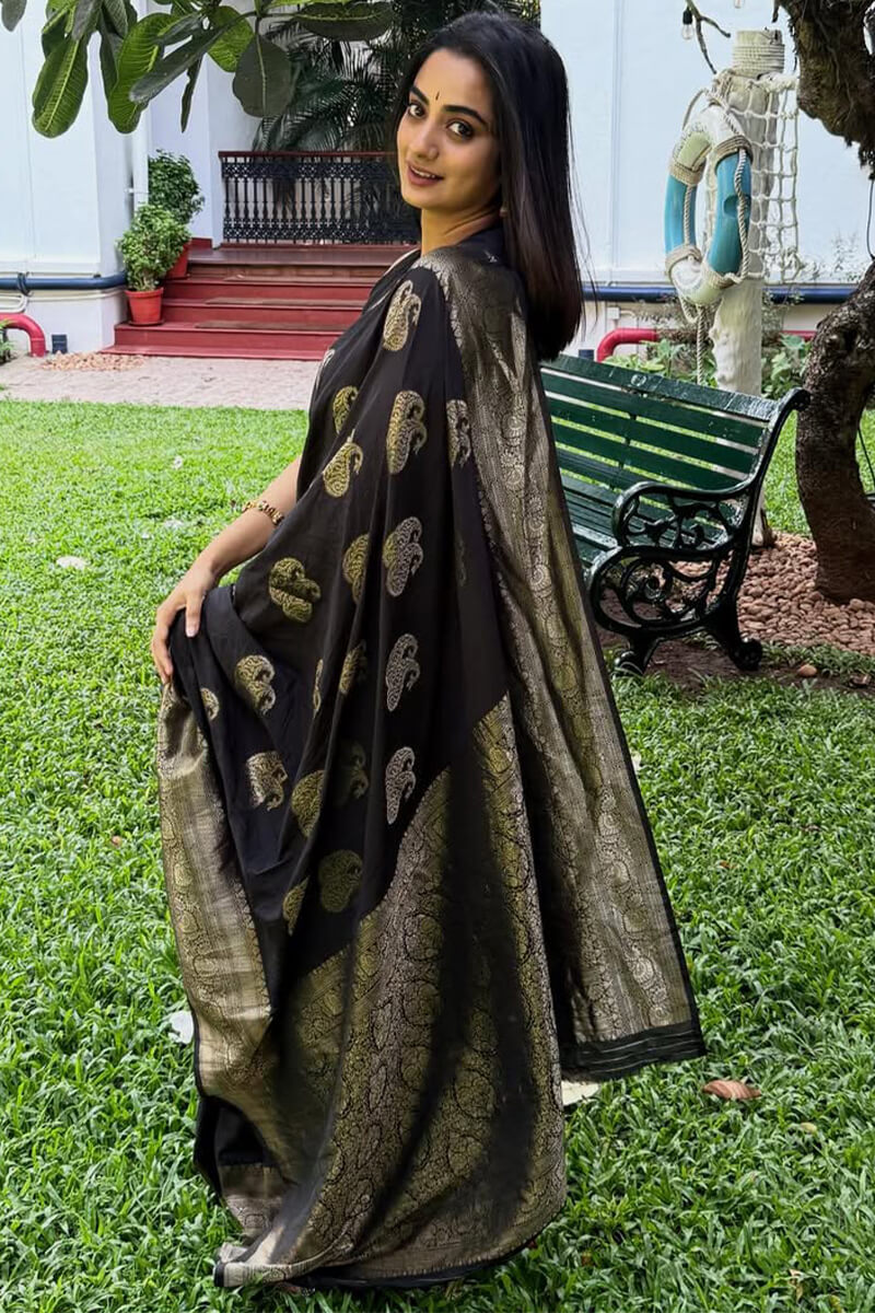 Majestic Black Soft Silk Saree With Arresting Blouse Piece