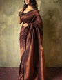 Lovely Brown Soft Silk Saree With Breathtaking Blouse Piece