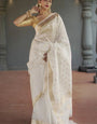 Opulent Off White  Linen Silk Saree With Scrupulous Blouse Piece