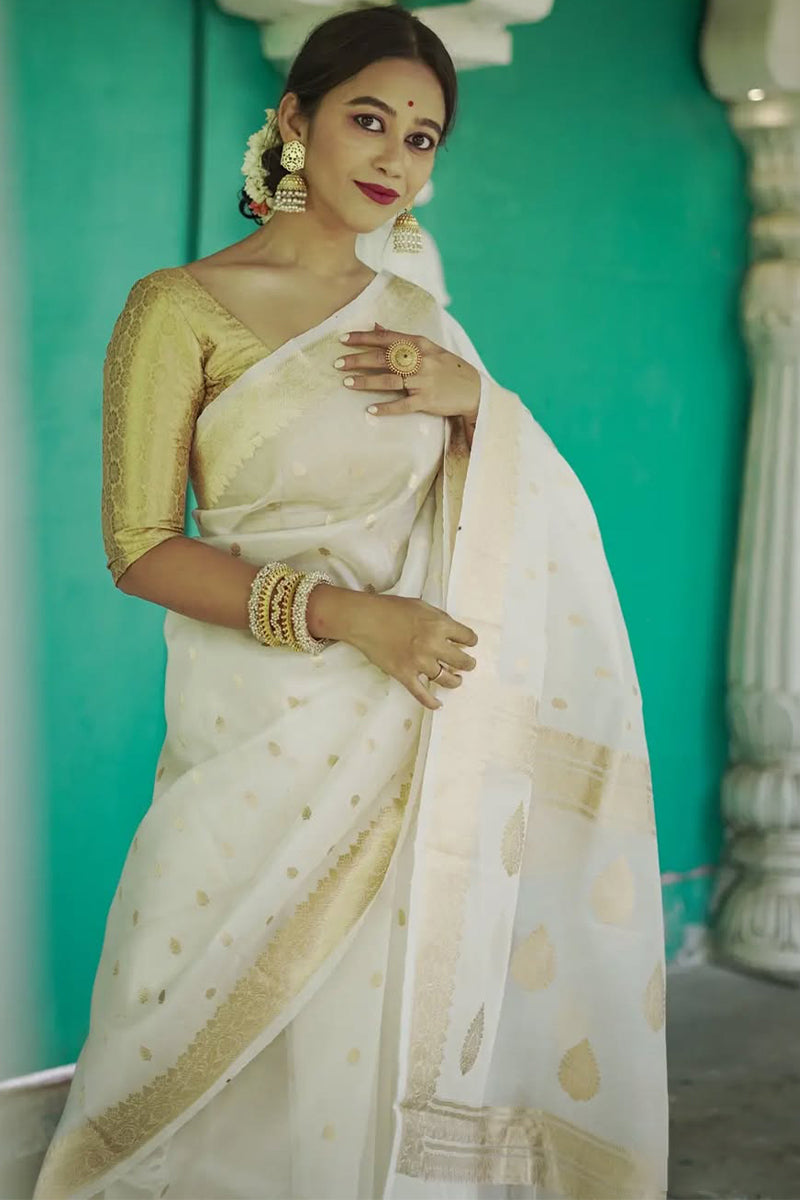 Opulent Off White  Linen Silk Saree With Scrupulous Blouse Piece