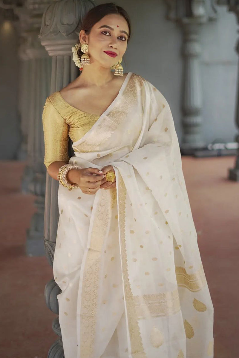 Opulent Off White  Linen Silk Saree With Scrupulous Blouse Piece