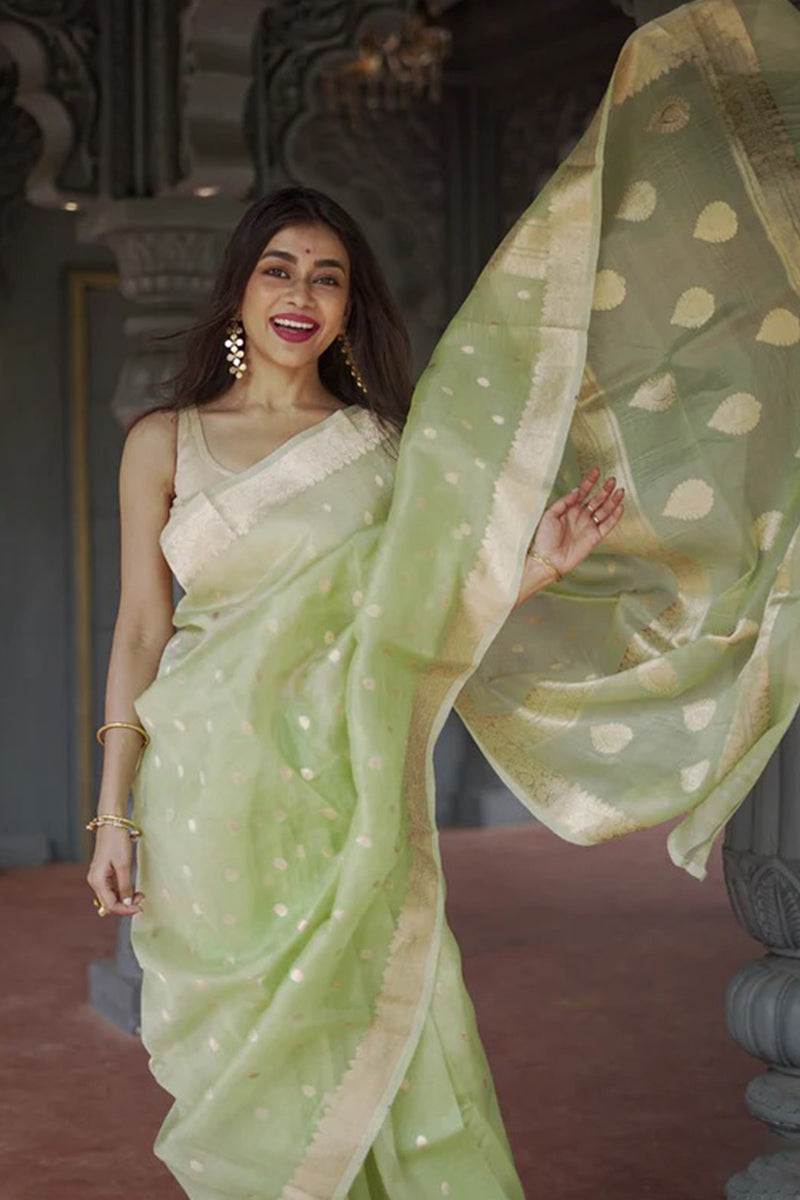 Inimitable Pista Linen Silk Saree With Glamorous Blouse Piece