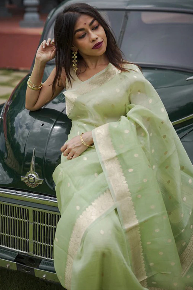 Inimitable Pista Linen Silk Saree With Glamorous Blouse Piece