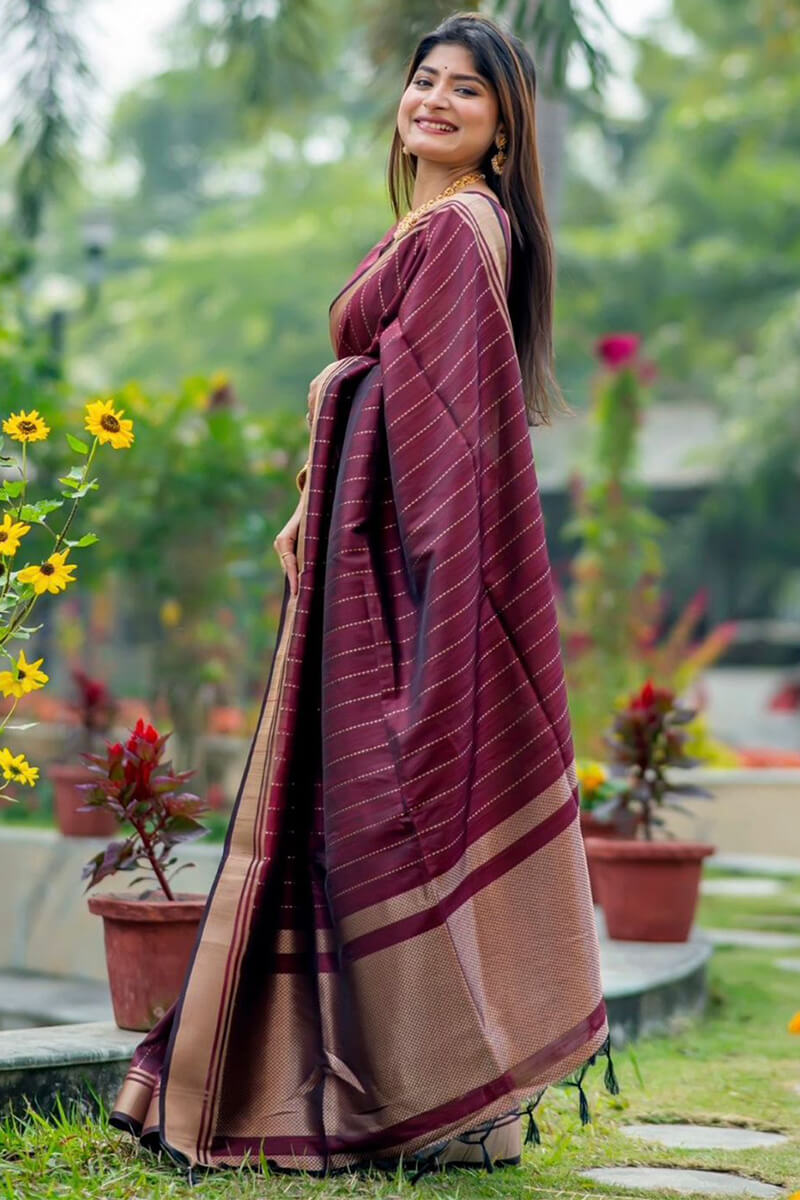 Gratifying Wine Soft Silk Saree With Woebegone Blouse Piece