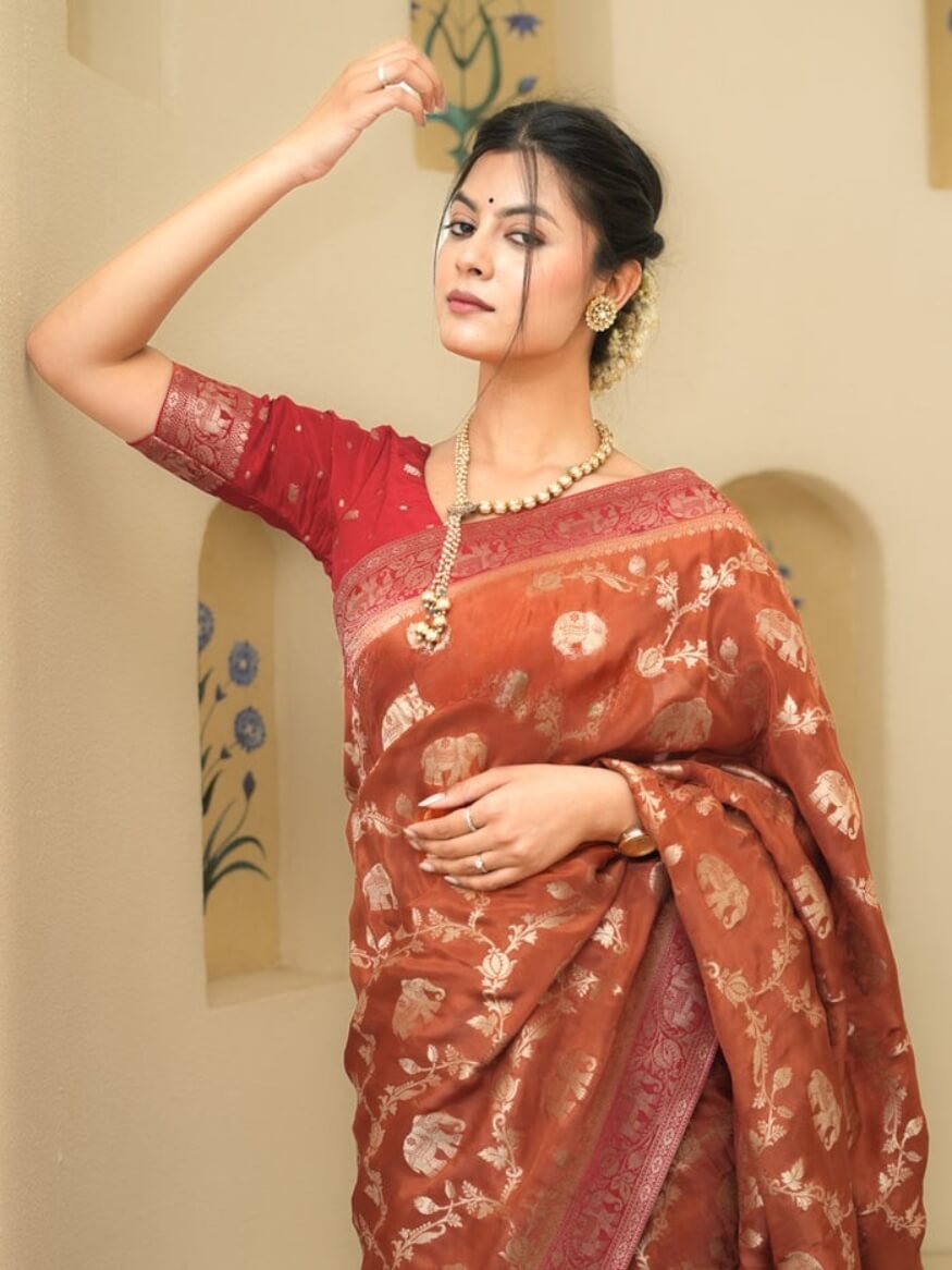 Super classy Orange Soft Silk Saree With Precious Blouse Piece