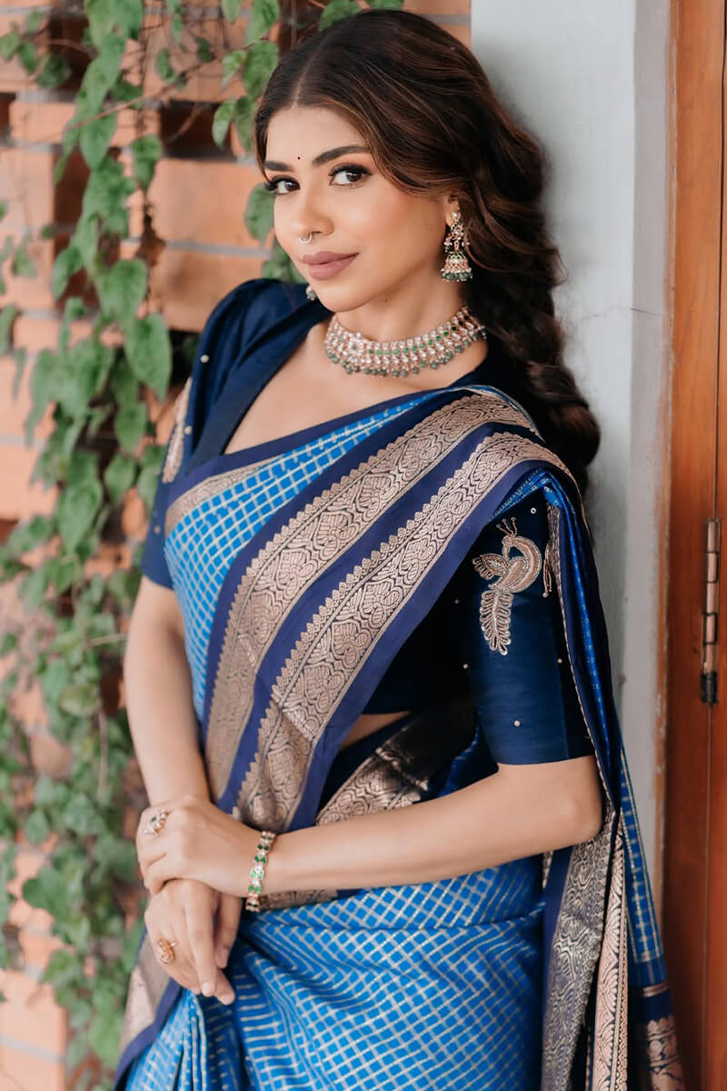 Sonorous Blue Soft Silk Saree With Breathtaking Blouse Piece