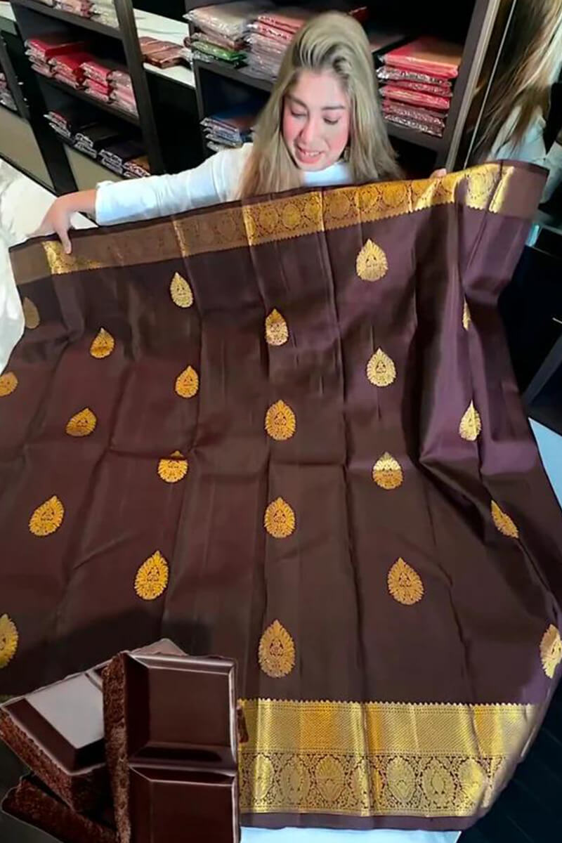 Proficient Brown Soft Banarasi Silk Saree With Ephemeral Blouse Piece