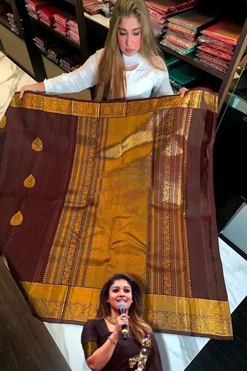 Proficient Brown Soft Banarasi Silk Saree With Ephemeral Blouse Piece
