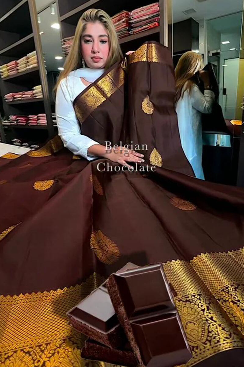 Proficient Brown Soft Banarasi Silk Saree With Ephemeral Blouse Piece