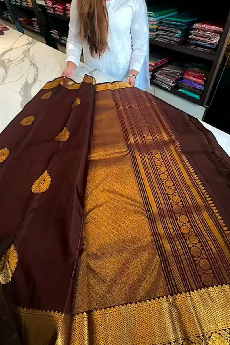 Proficient Brown Soft Banarasi Silk Saree With Ephemeral Blouse Piece