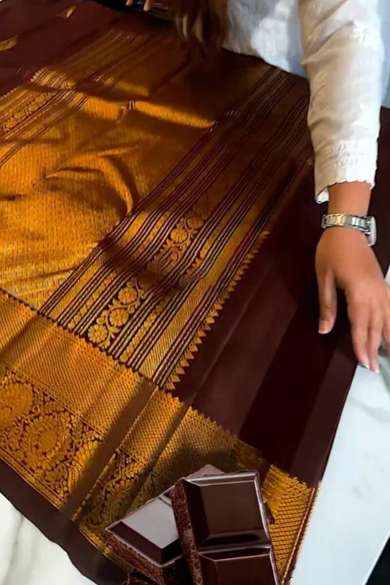 Proficient Brown Soft Banarasi Silk Saree With Ephemeral Blouse Piece