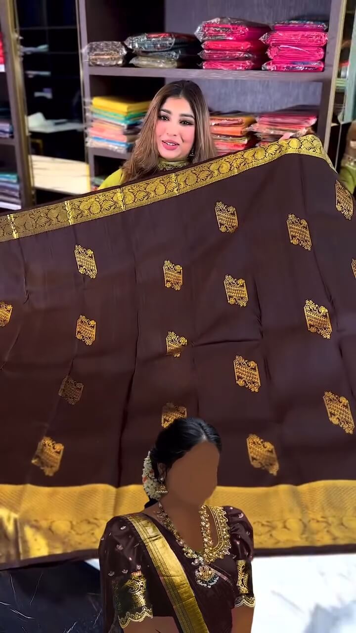 Artistic Brown Soft Banarasi Silk Saree With Stunning Blouse Piece