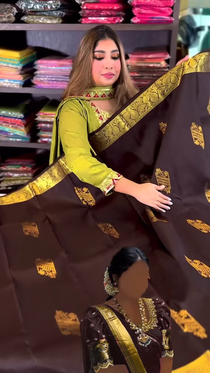 Artistic Brown Soft Banarasi Silk Saree With Stunning Blouse Piece