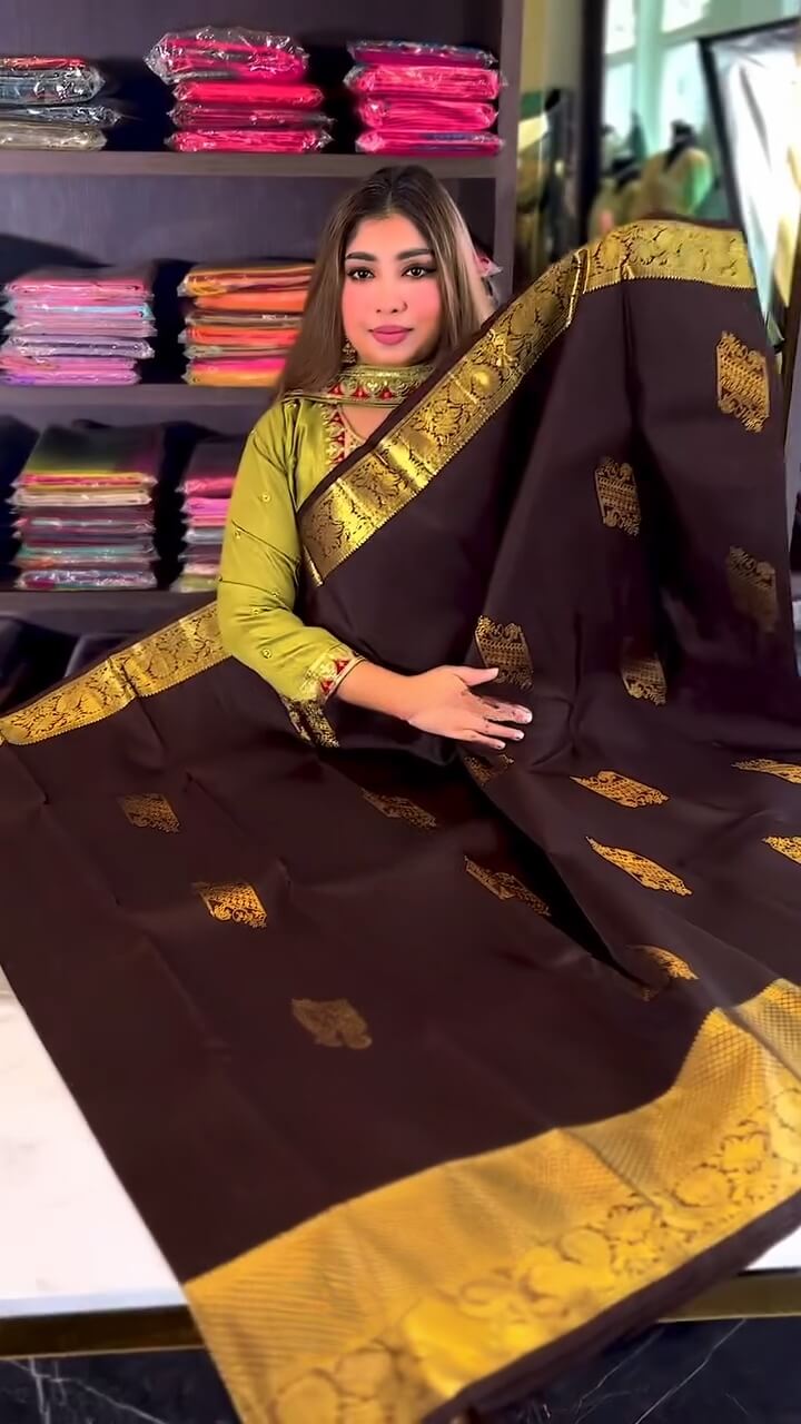 Artistic Brown Soft Banarasi Silk Saree With Stunning Blouse Piece