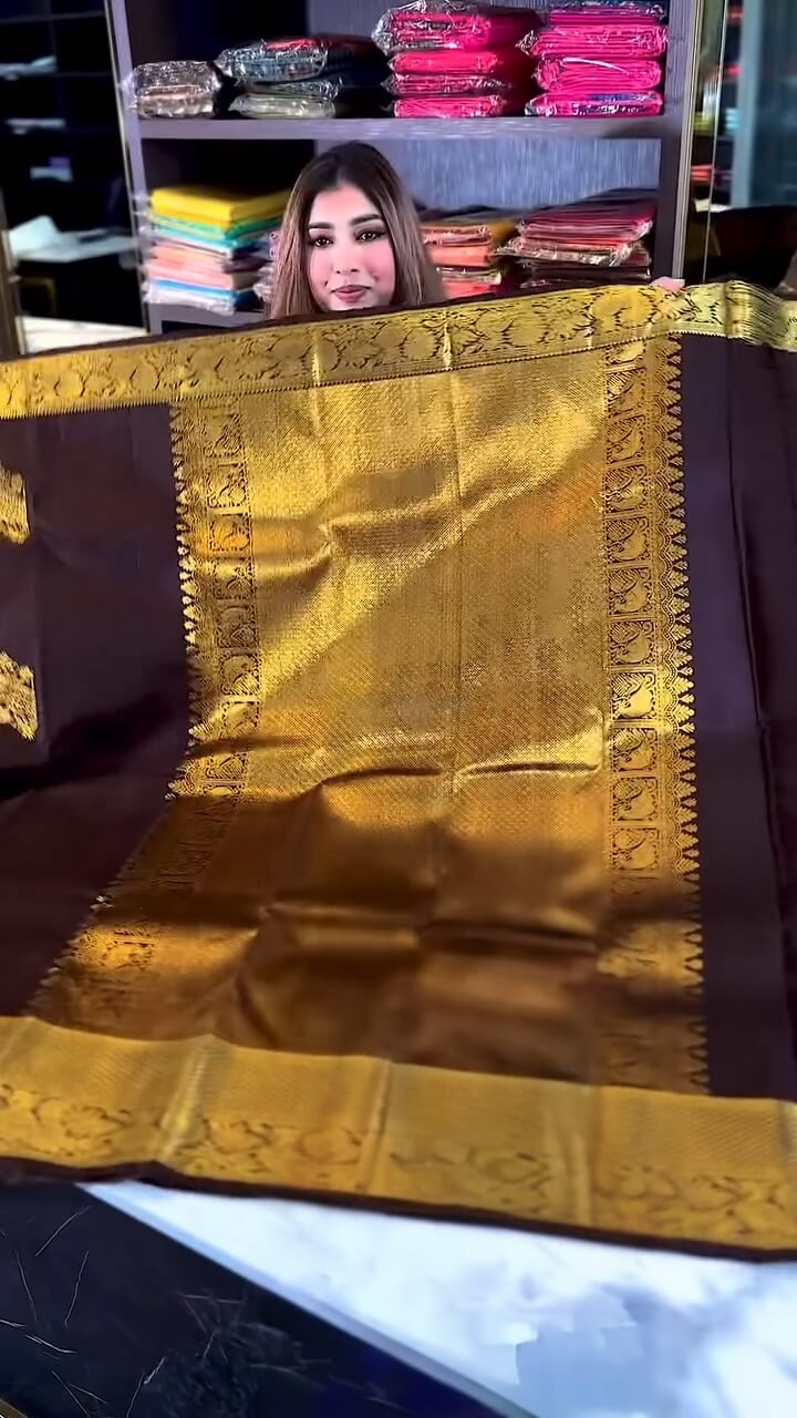 Artistic Brown Soft Banarasi Silk Saree With Stunning Blouse Piece