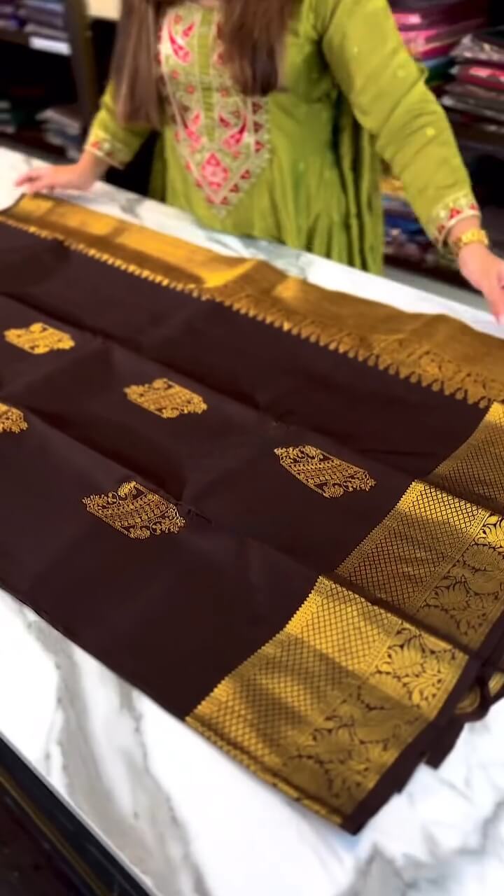 Artistic Brown Soft Banarasi Silk Saree With Stunning Blouse Piece