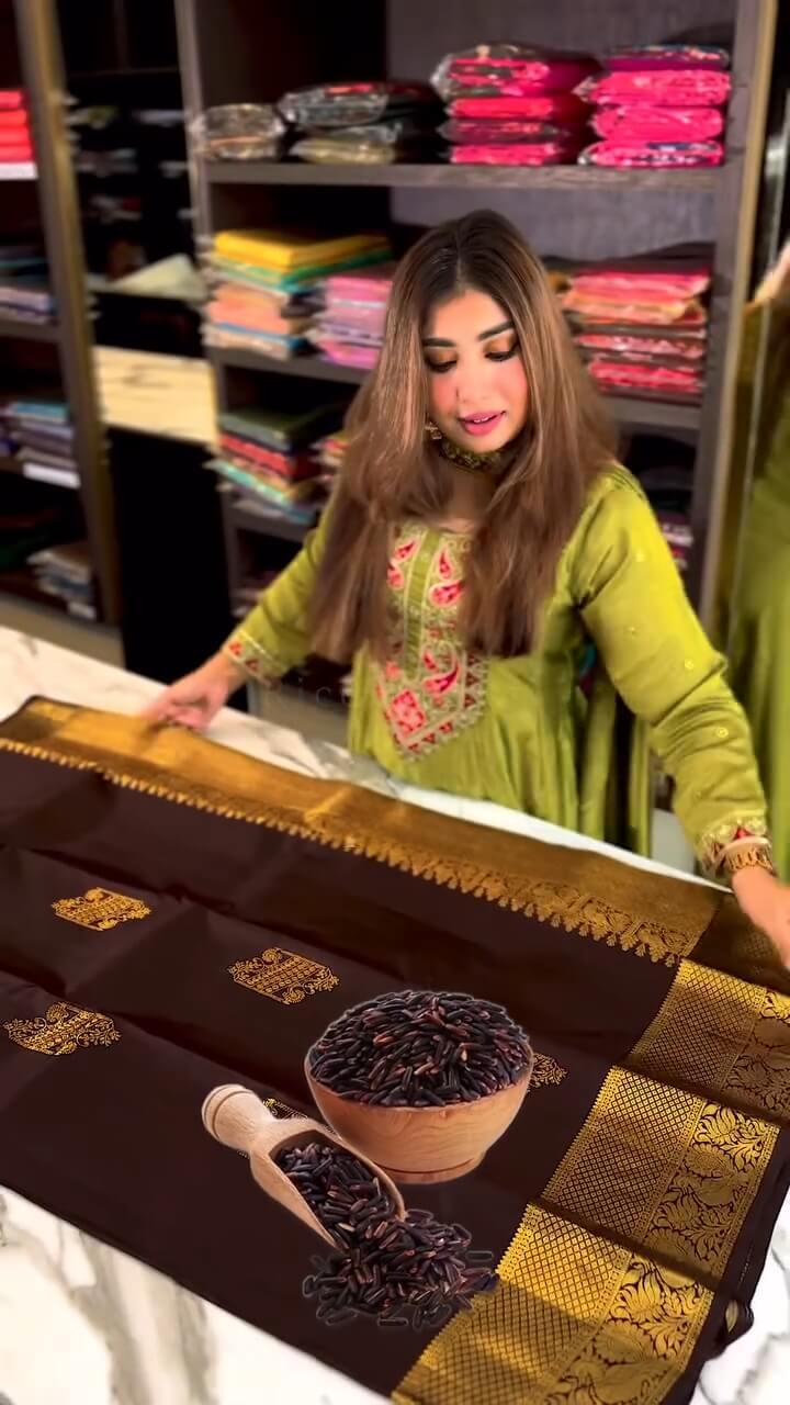 Artistic Brown Soft Banarasi Silk Saree With Stunning Blouse Piece
