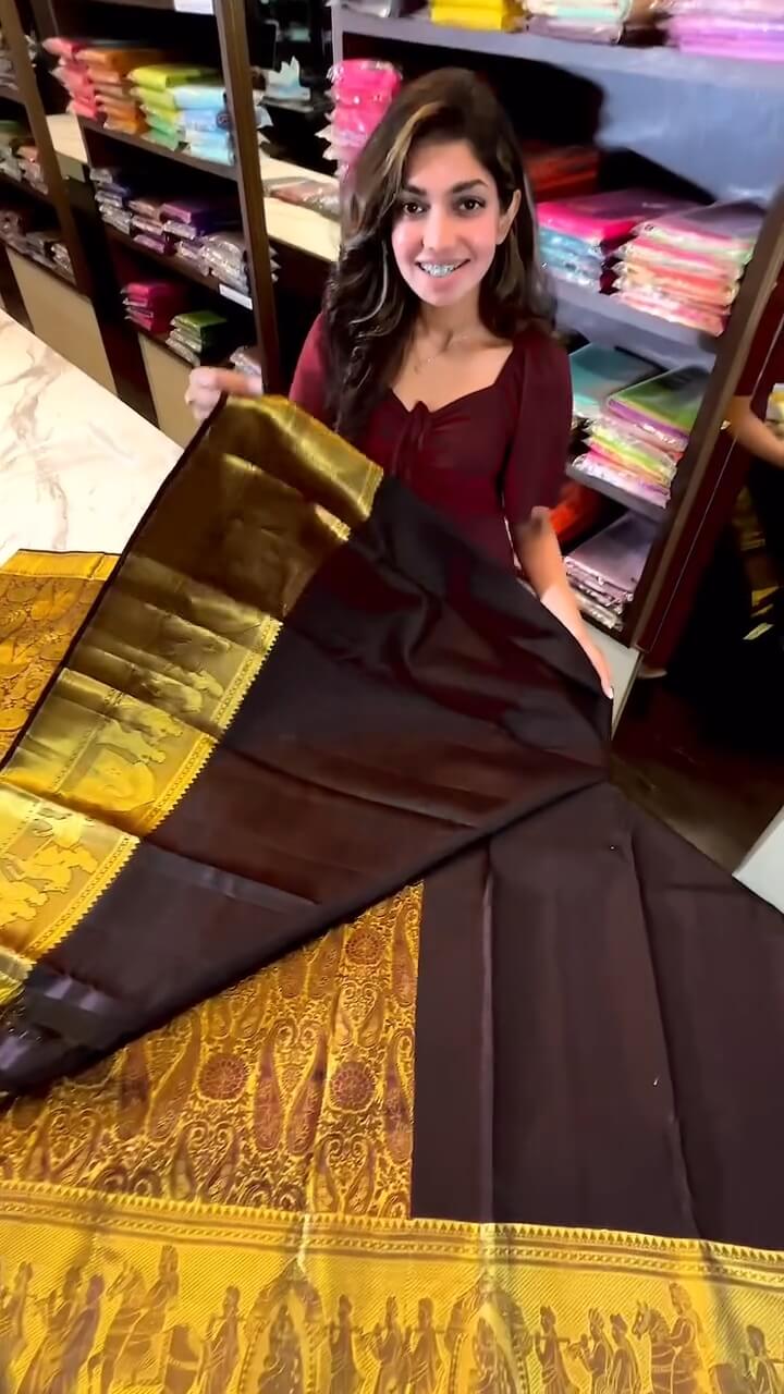 Alluring Brown Soft Banarasi Silk Saree With Deserving Blouse Piece