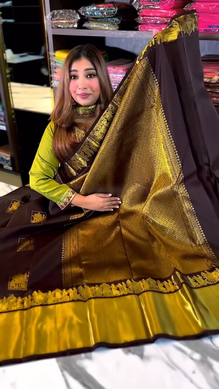 Flattering Brown Soft Banarasi Silk Saree With Delectable Blouse Piece