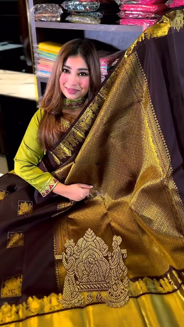 Flattering Brown Soft Banarasi Silk Saree With Delectable Blouse Piece