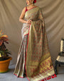 Exuberant Grey Patola Silk Saree with Demure Blouse Piece