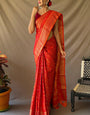 Demesne Red Patola Silk Saree with Nebula Blouse Piece