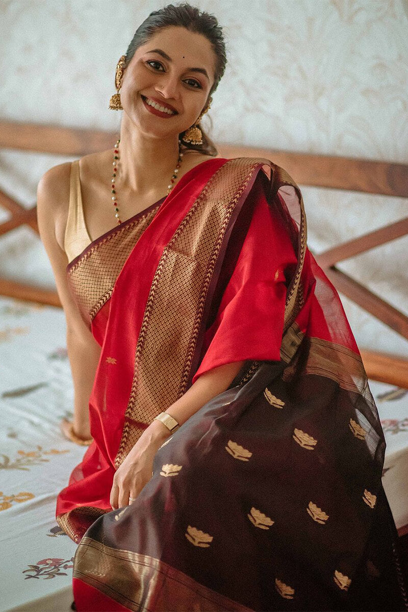 Scarlet Red Maheshawari Cotton Silk Saree