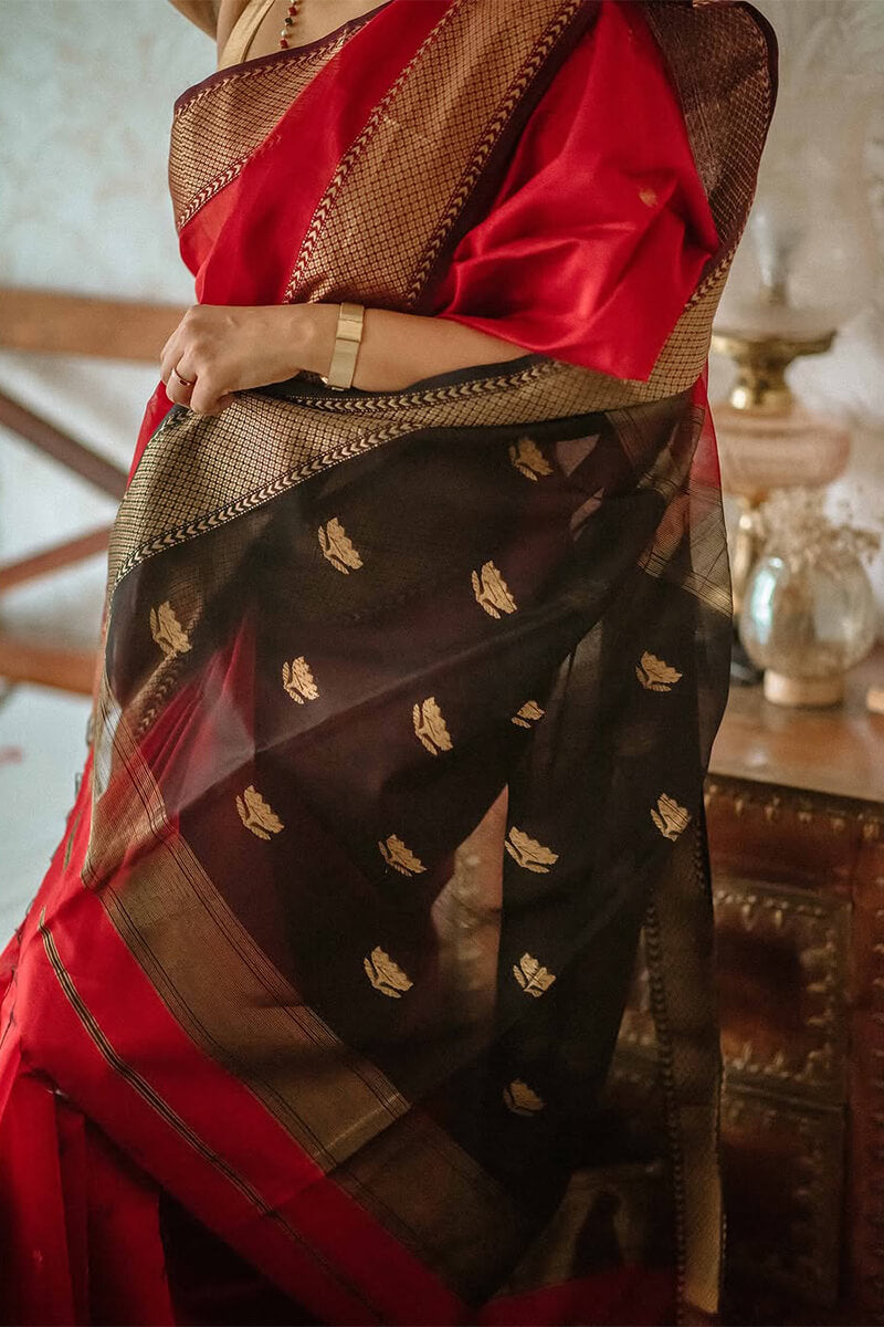 Scarlet Red Maheshawari Cotton Silk Saree