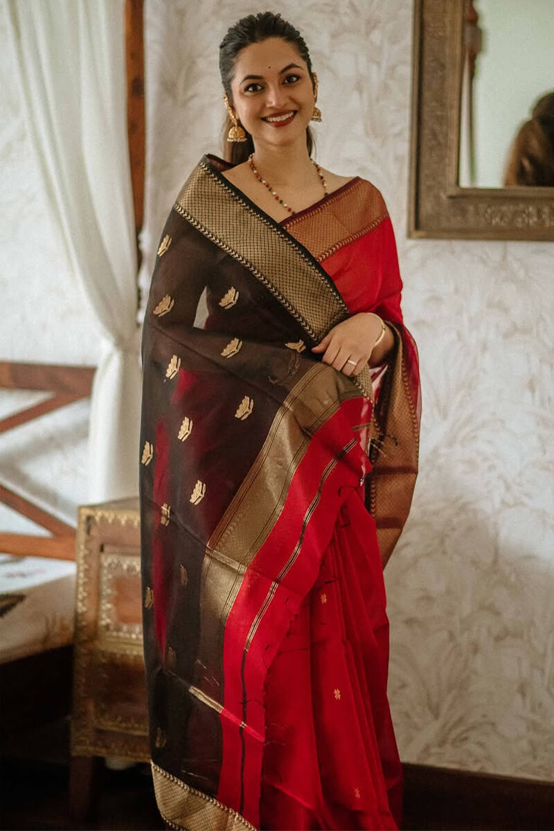 Scarlet Red Maheshawari Cotton Silk Saree