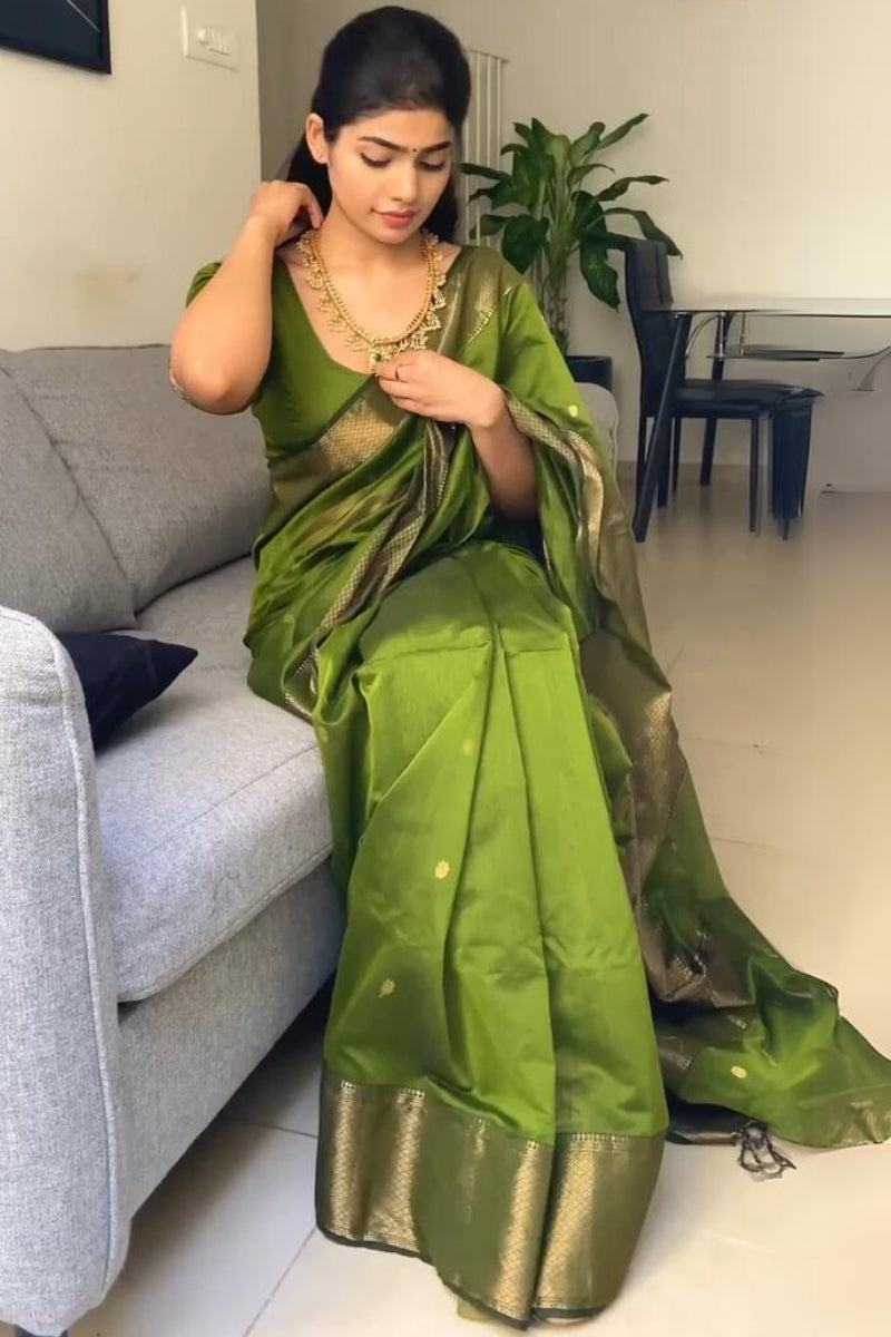 Muddy Green Maheshawari Cotton Silk Saree