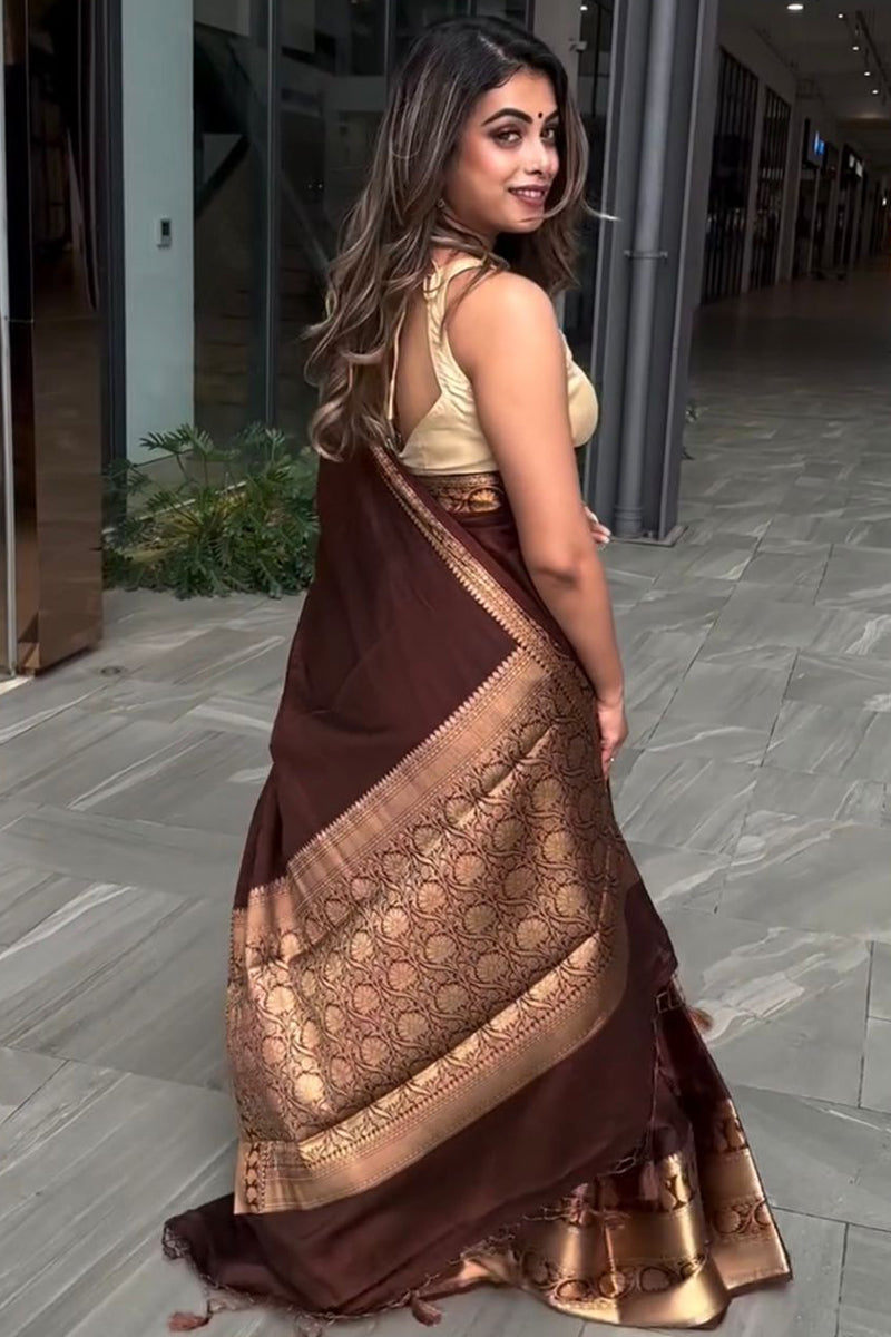 Ailurophile Wine Soft Silk Saree With Artistic Blouse Piece