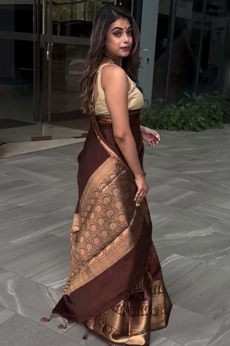Ailurophile Wine Soft Silk Saree With Artistic Blouse Piece