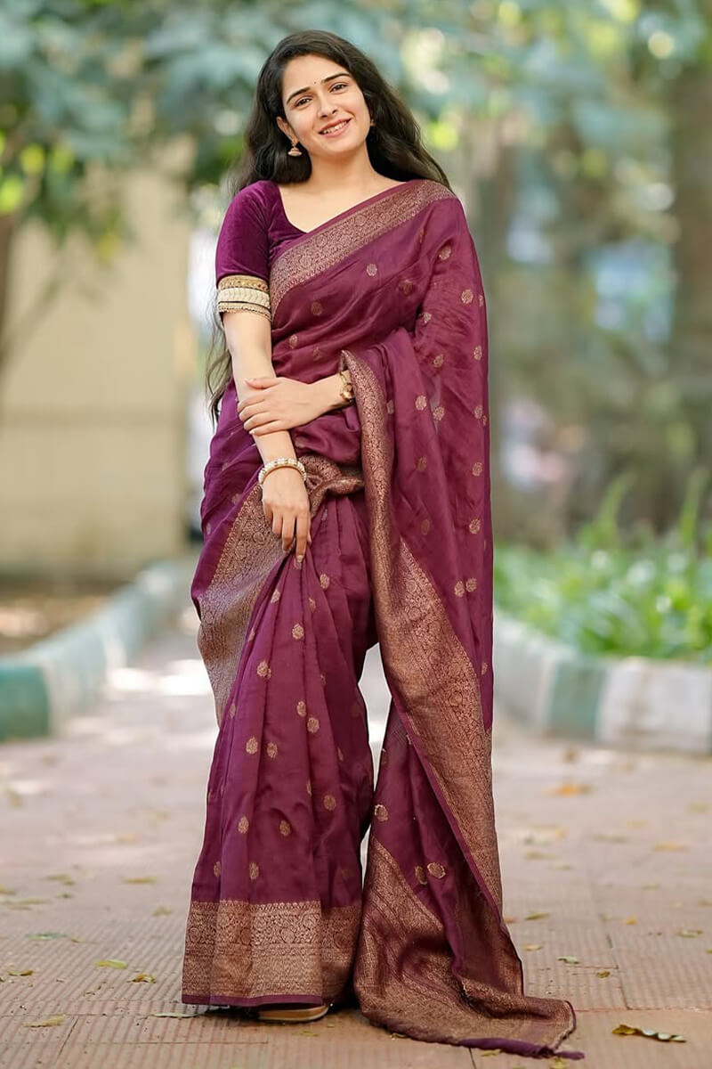 Beguiling Wine Soft Silk Saree With Divine Blouse Piece