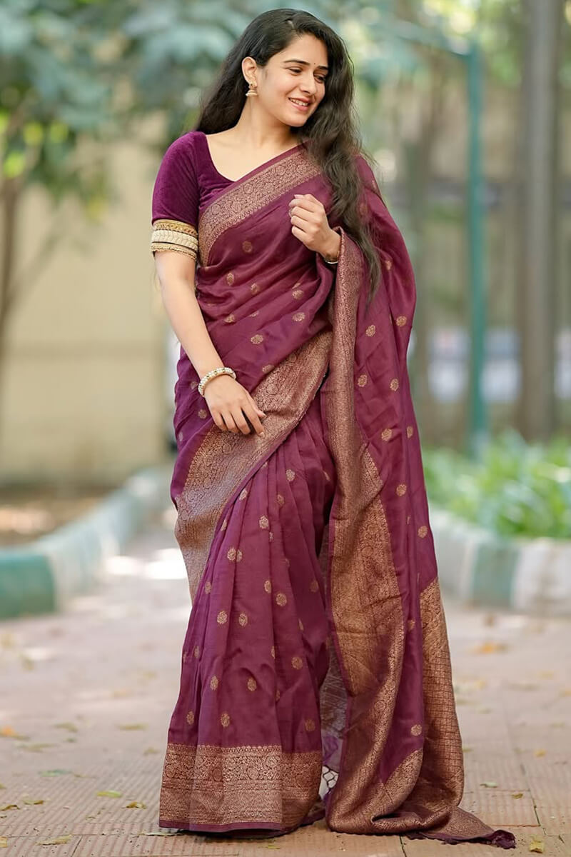 Beguiling Wine Soft Silk Saree With Divine Blouse Piece