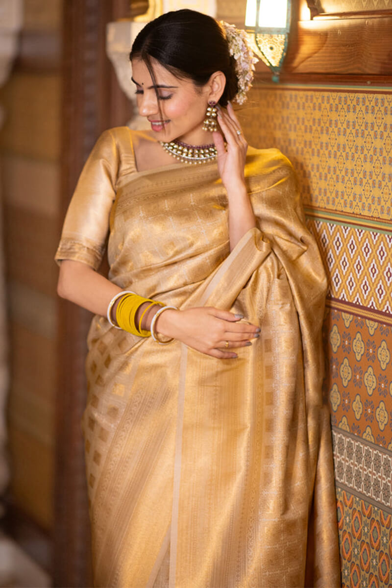 Gossamer Beige Soft Silk Saree With Most Flattering Blouse Piece