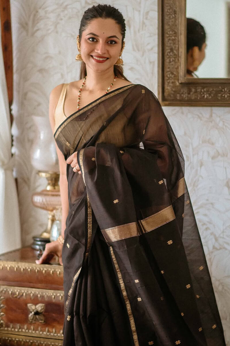 Coal Black Maheshawari Cotton Silk Saree