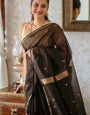 Coal Black Maheshawari Cotton Silk Saree