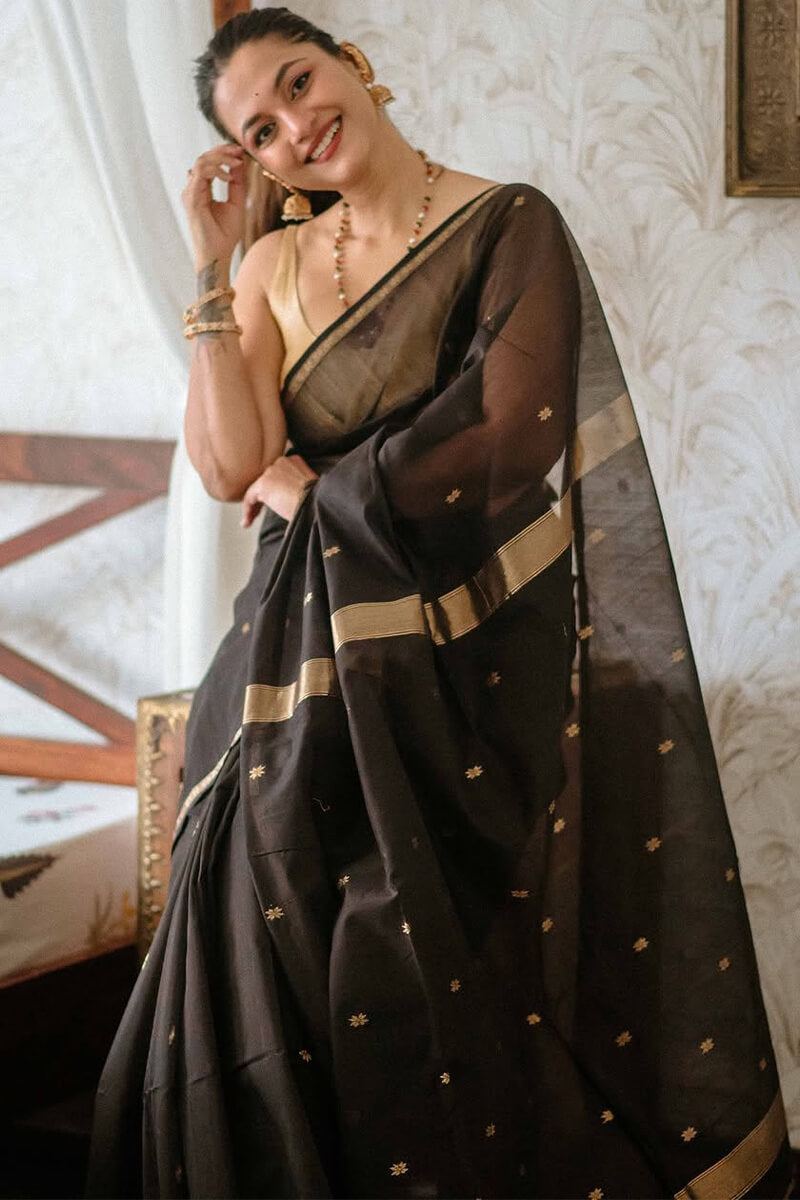 Coal Black Maheshawari Cotton Silk Saree