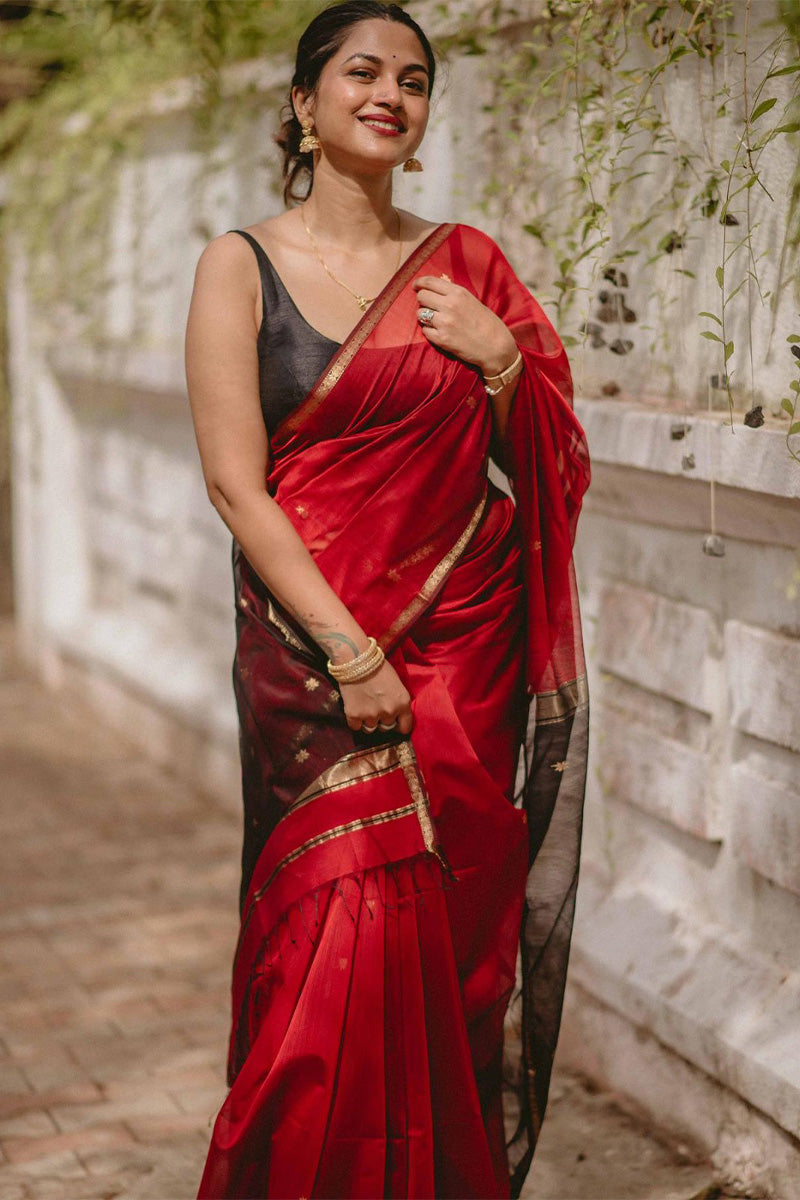 Lipstick Red Maheshawari Cotton Silk Saree