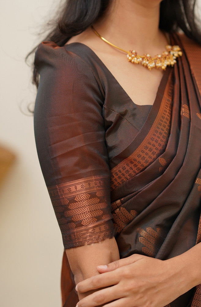 Lissome Brown Soft Silk Saree With Flaunt Blouse Piece