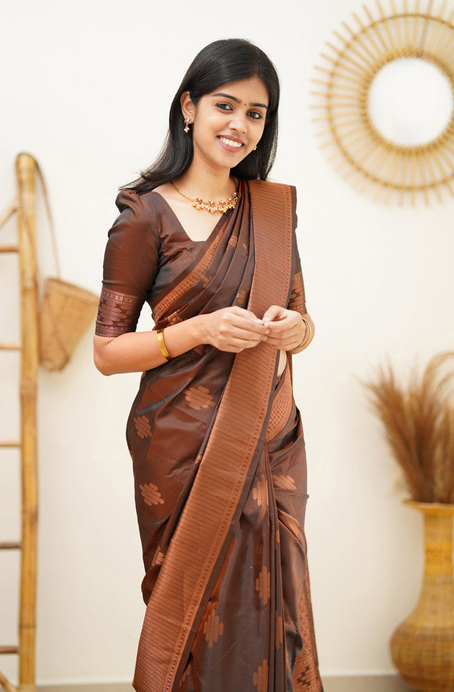 Lissome Brown Soft Silk Saree With Flaunt Blouse Piece