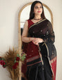 Smoky Black Maheshawari Cotton Silk Saree